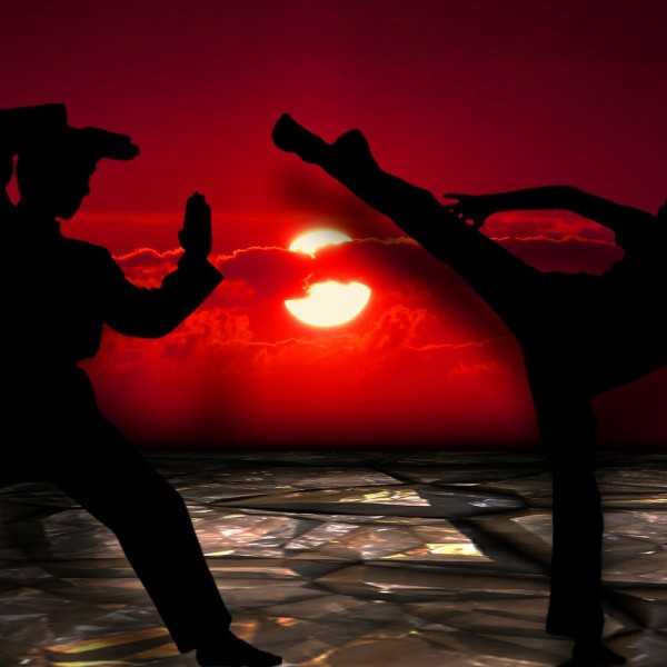Martial Arts Photo