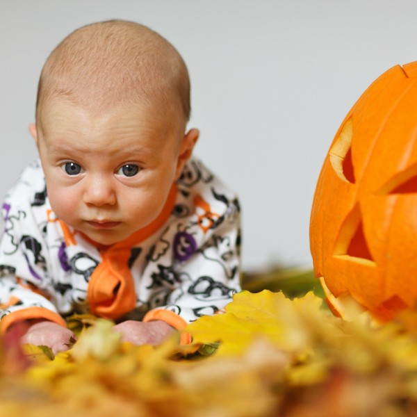 Cute Pumpkin Photo