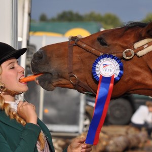 Lady And The Horse Photo