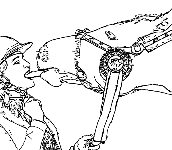 Lady And The Horse Coloring Page