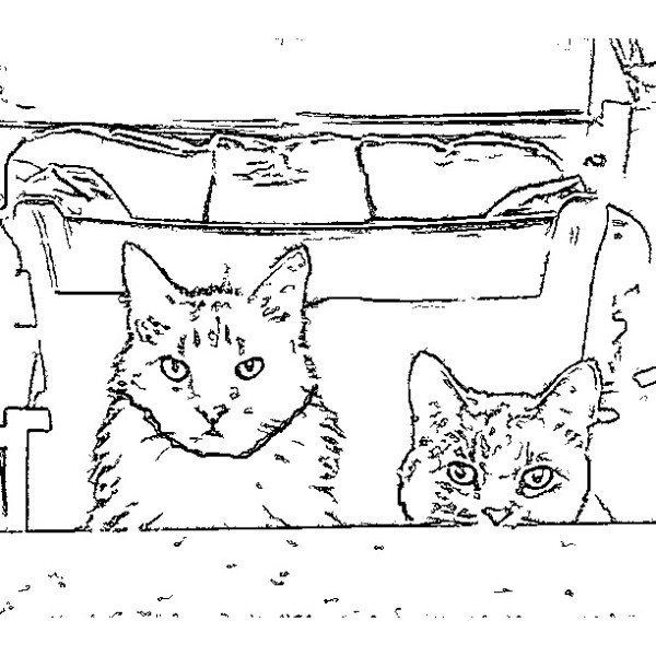 ReallyColor - Hey Kitty Kitty Coloring Page