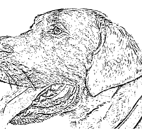 ReallyColor User Hall of Fame - Dog Coloring Page