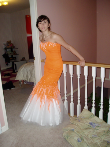 ReallyColor User Hall of Fame - Beautiful Dress Photo