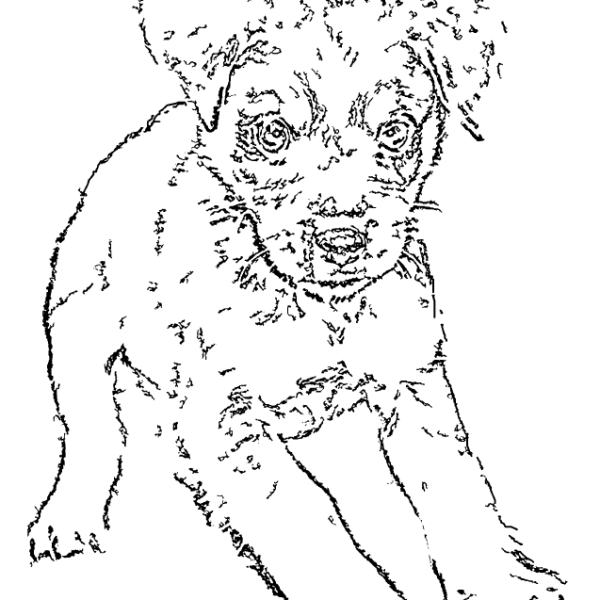 ReallyColor User Hall of Fame - Cute Puppy Coloring Page