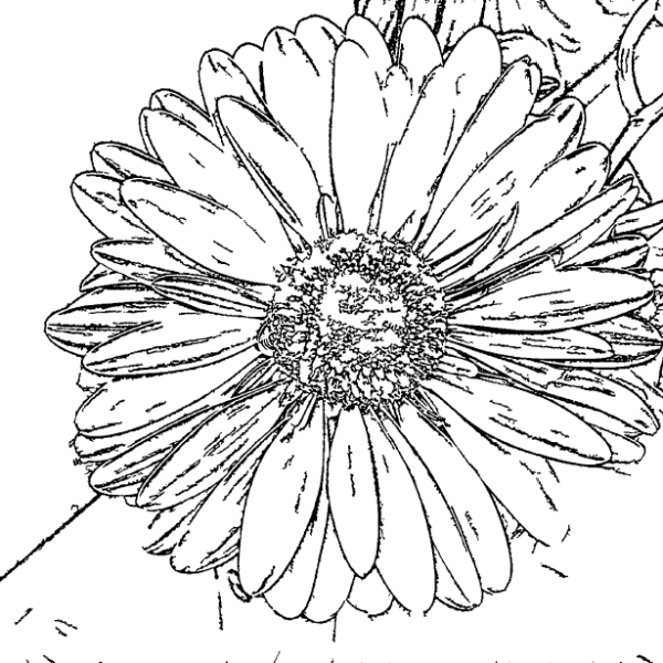 ReallyColor User Hall of Fame - Flower Coloring Page