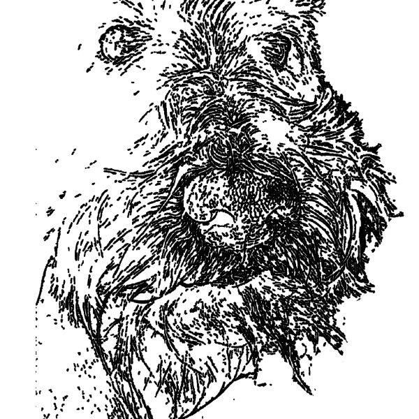 ReallyColor User Hall of Fame - Portrait Of A Dog Coloring Page