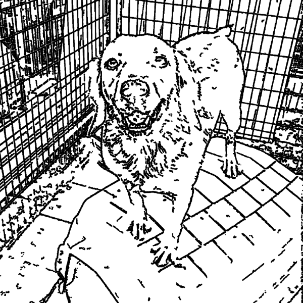 ReallyColor Hall of Fame - Puppy House Coloring Page