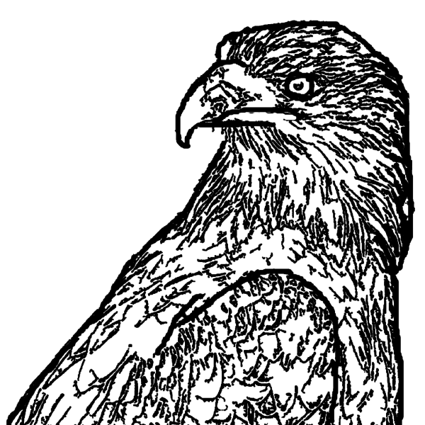 ReallyColor Hall of Fame - Soaring Eagle Coloring Page