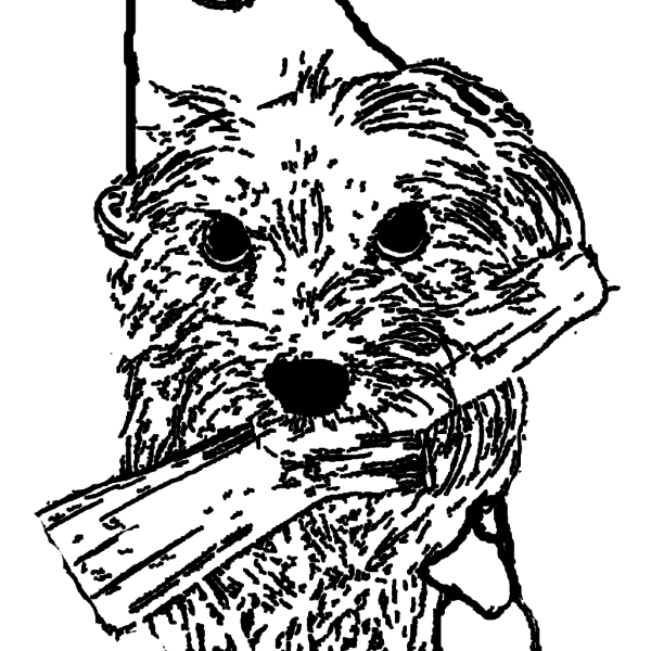 ReallyColor - Birthday Dog Coloring Page