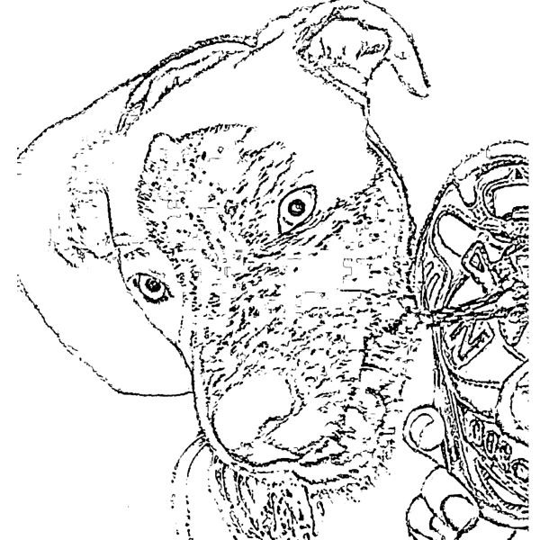 ReallyColor - Dog Food Coloring Page