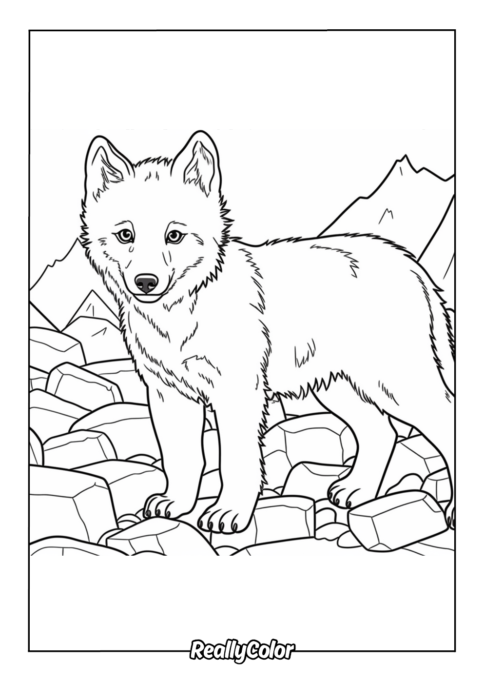 Cute arctic fox coloring page