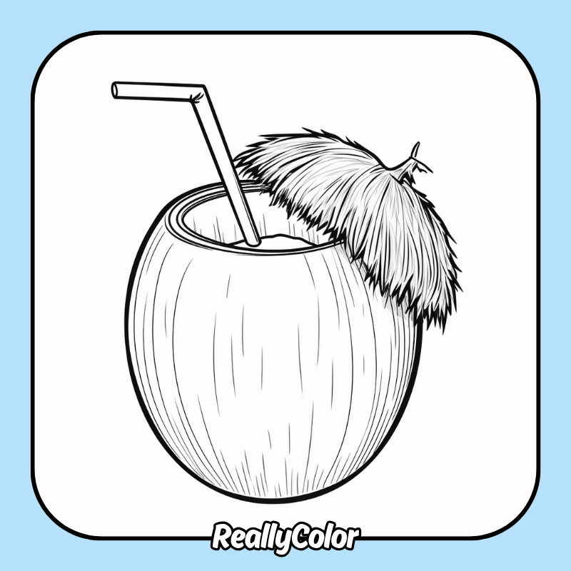 Coconut coloring pages