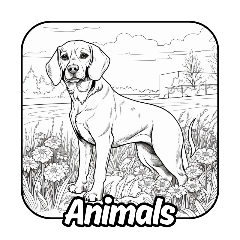 Free Animals coloring pages