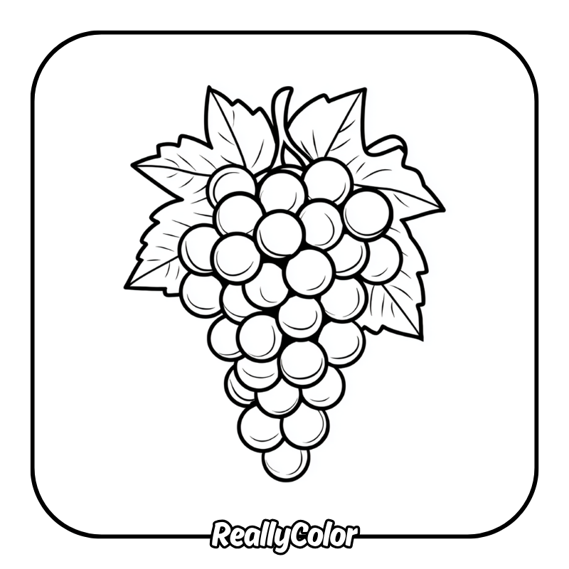 Free printable Grapes coloring pages