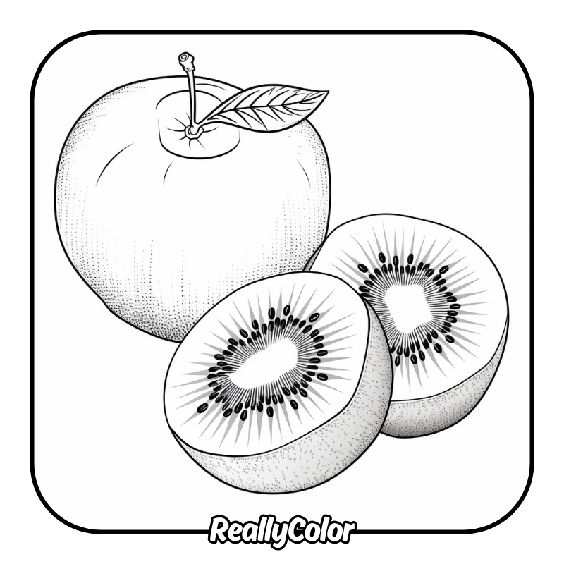 Free printable Kiwi coloring pages