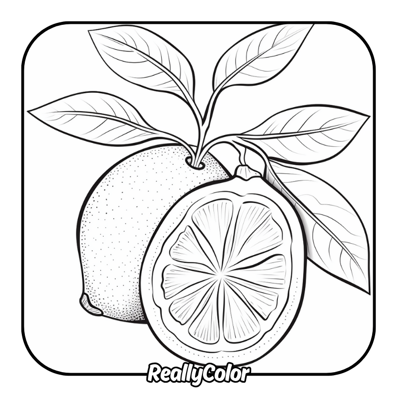 Free printable Lemon coloring pages