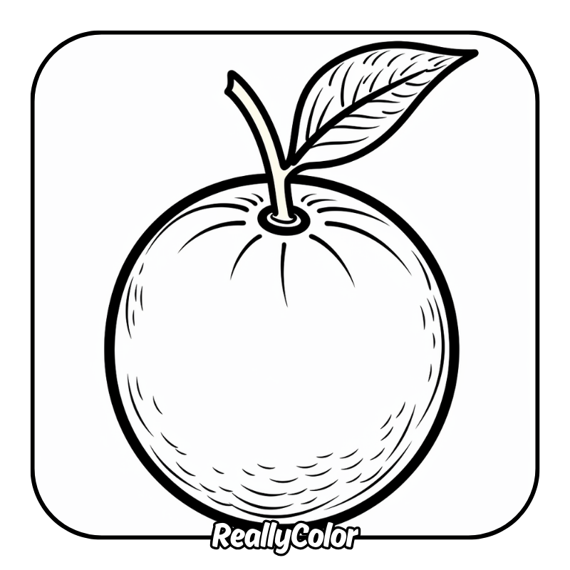 Free printable Orange coloring pages