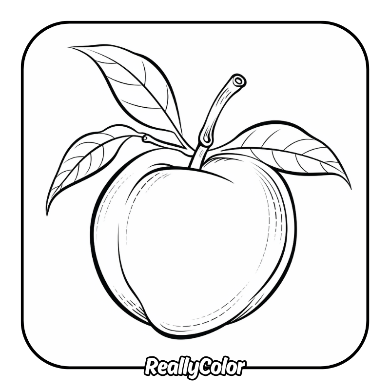 Free printable Peach coloring pages