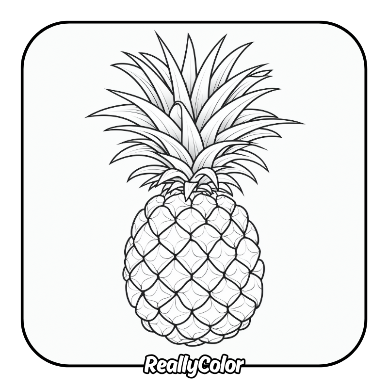 Free printable Pineapple coloring pages