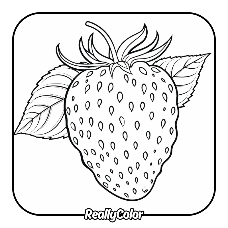 Free printable Strawberry coloring pages