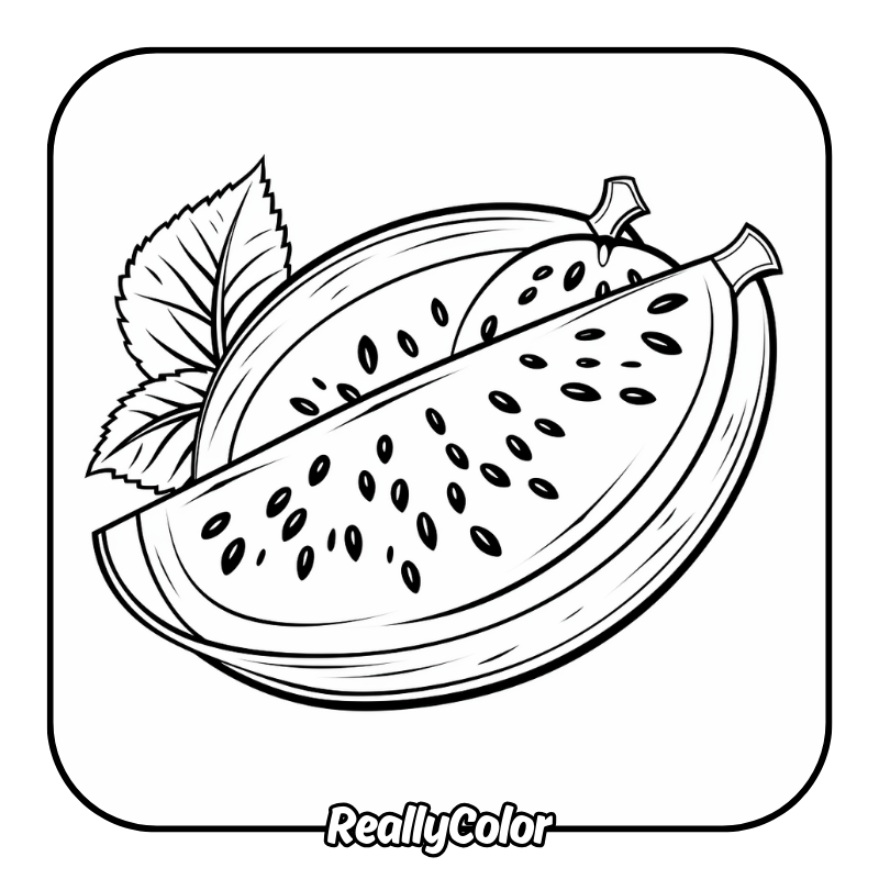 Free printable Watermelon coloring pages