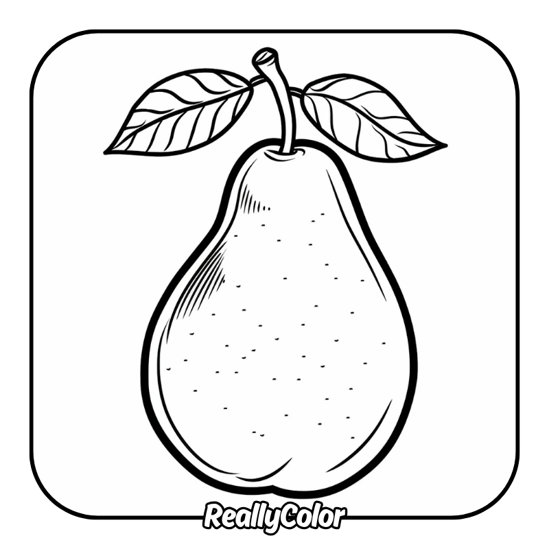 Pear coloring pages