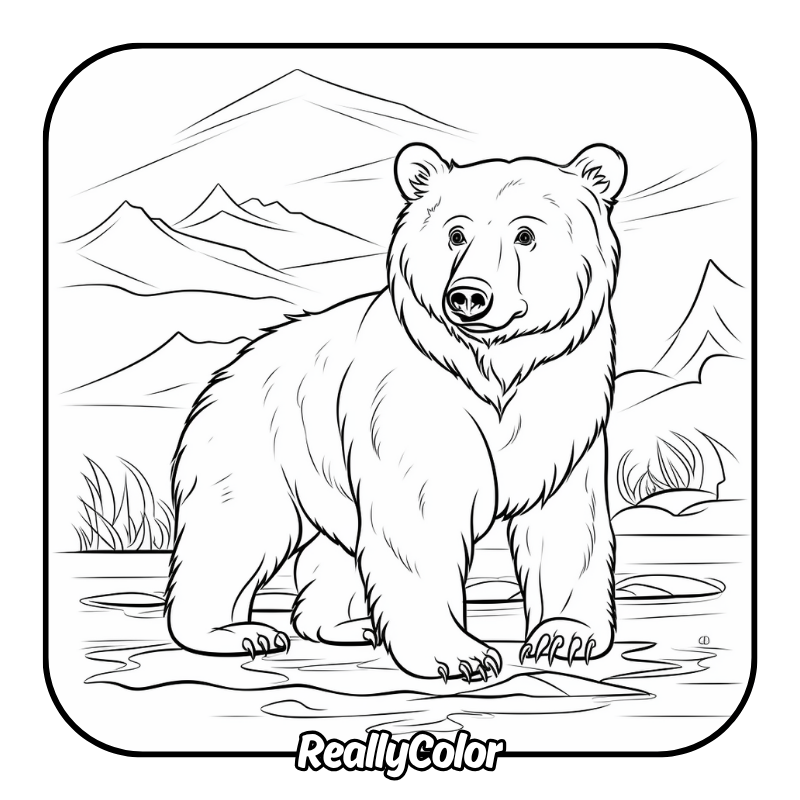 Free printable Bear coloring pages
