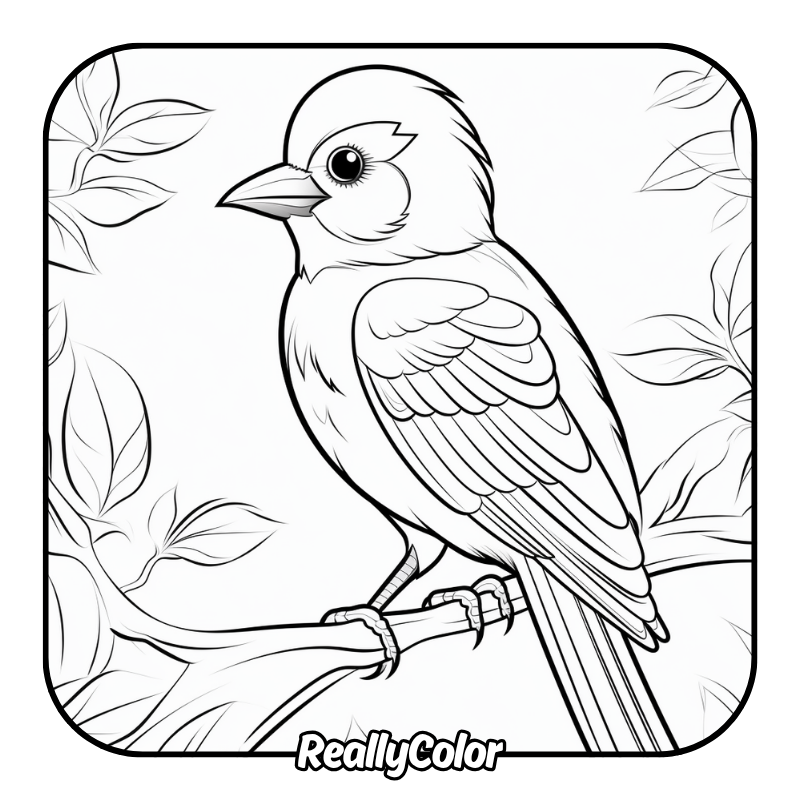 Free printable bird coloring pages