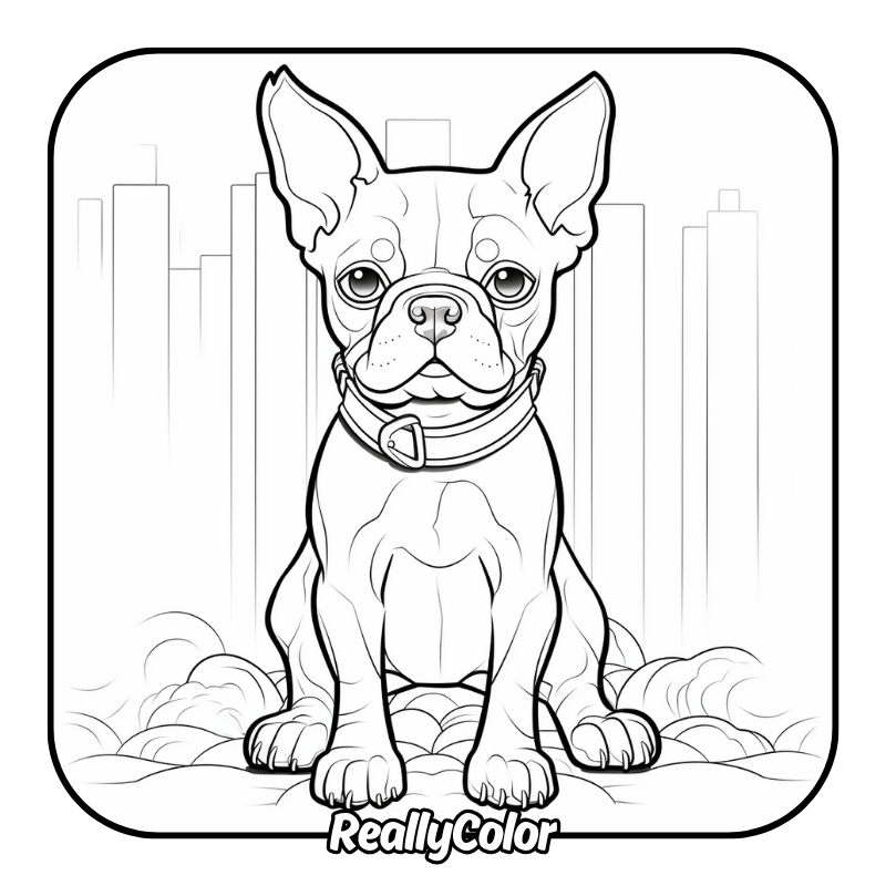 Free printable Boston terrier coloring pages