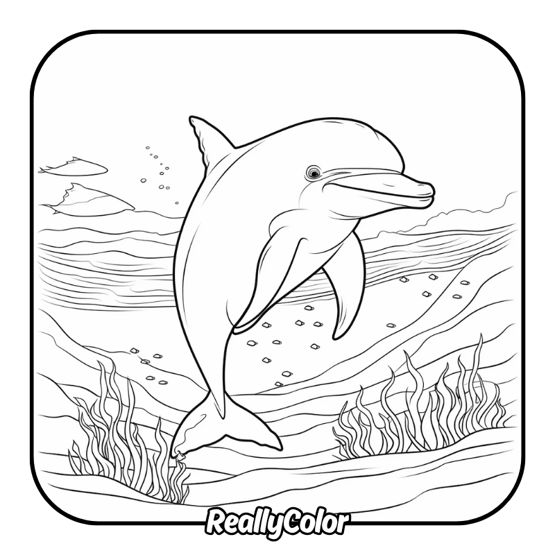 Free printable Dolphin coloring pages